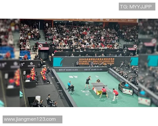 成都乒乓球队实力对比深度解析及未来发展趋势探讨